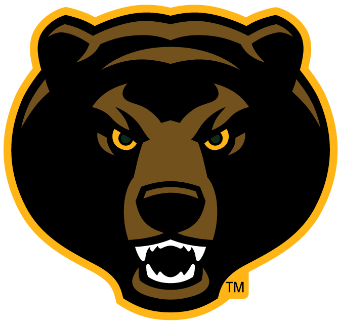 Baylor Bears 2005-Pres Alternate Logo v6 iron on transfers for clothing